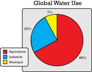 Global water use