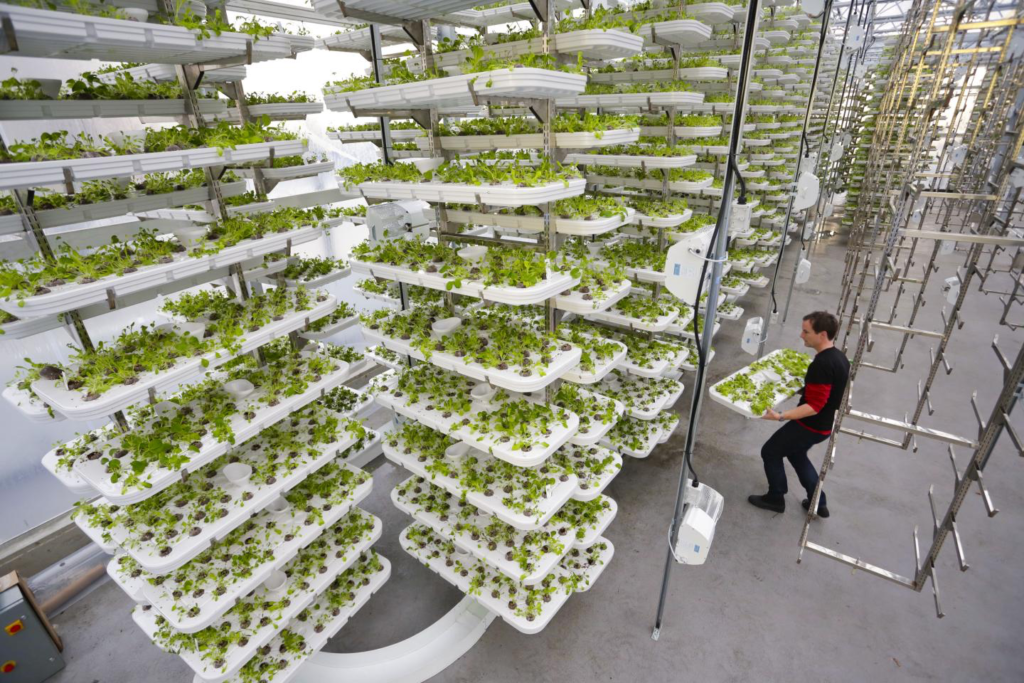 Hydroponic farms